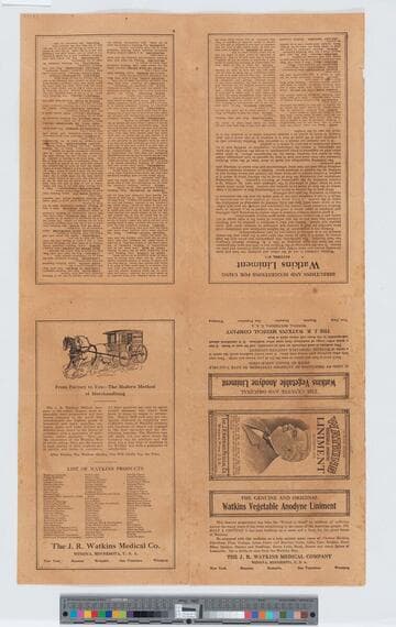 Watkins vegetable anodyne liniment