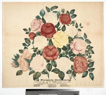 The people's collection, as selected by, grown by, W. & T. Smith