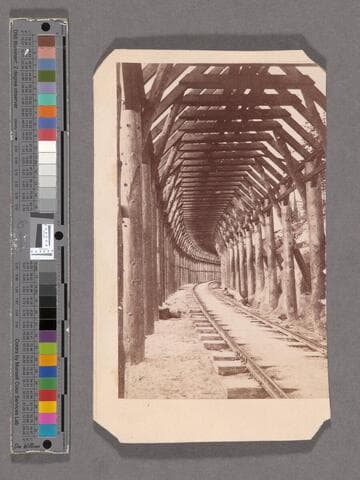 Frame of Snow Covering, 90 miles from Sacramento