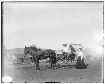 Two women and two young boys on a horse buggy near residences