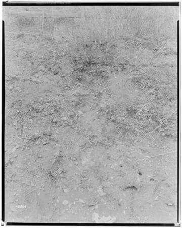 Distribution Lines - Malibu Fire Damage