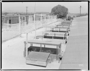 P2 - Poultry - H. H. Garman's Valley View Hatchery