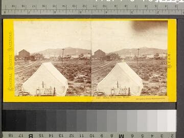 347. Elko from the West