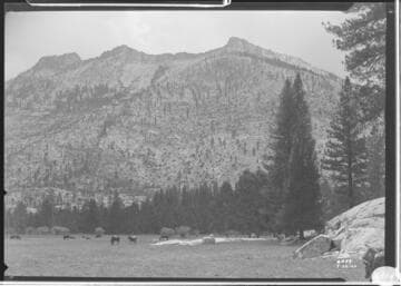 Big Creek, Miscellaneous