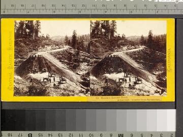 92. Heath's Ravine Bank