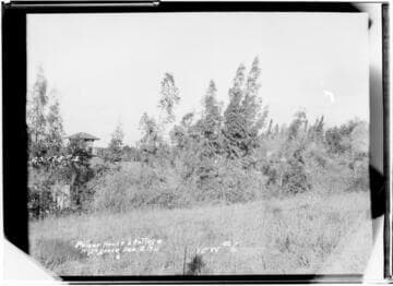 Highgrove Generating Station and Cottage