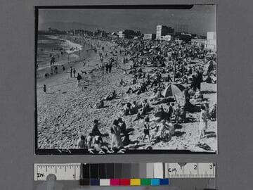 Crowds of people at Venice Beach, California