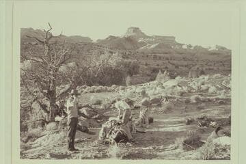 Camp in north fork of Navajo Creek. Octagon Butte and the end of Cummings Mesa is in background. Bahe is at left; Tom Daly packs the bags and Masland looks the situation over