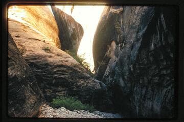 Nasja mid drop-off; pecked steps mid photo