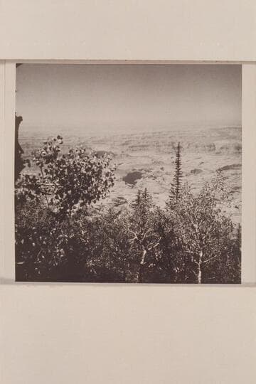 Glen Canyon; Forbidding Canyon; Bridge Canyon; Rainbow Bridge. From top of Navajo Mountain