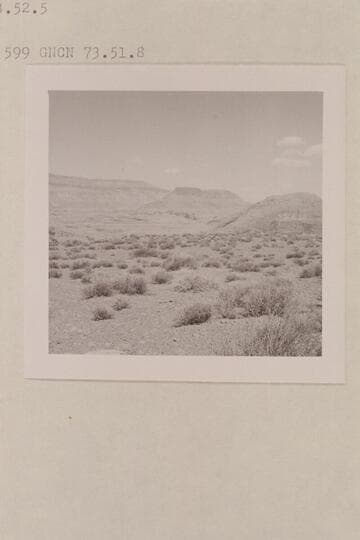 50 Mile Mountain and 60 Mile Point from plateau between the middle and the southwest fork of 73. Similar to 599 GNCN 73.51.8