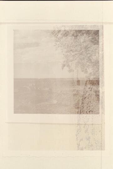 Gorge of the Little Colorado