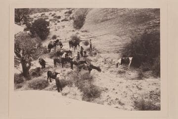 Repairs to Tom Daly's horse after fall on slick rock. West of Nasja Creek