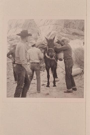 Archeyes Masland helps with the packing at camp in Bald Rock; Junction; Cha Creek