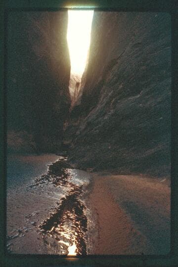 Slot canyon above junction with south fork