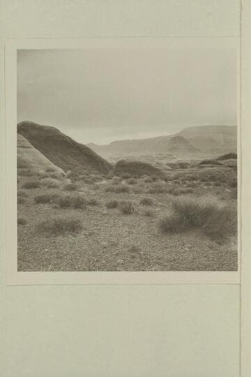 Northwest toward 50 Mile Mountain from top of small plateau on trail between the middle fork and the southwest fork of 73.6. Joins 500 GNCN 73.51.8