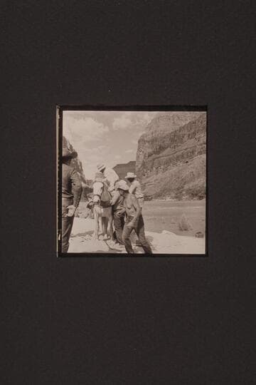 Members of the crew boost Ed Ralph onto the pack saddle at Whitmore Wash, Mile 188, Grand Canyon. Rod Sanderson is moving left in foreground and John Riffey is at right