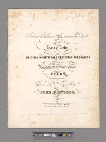 Juliana Phebiana Constantina Brown : sung by Harry Lehr of the Original Nightingale Ethiopian Serenaders / Music and words composed by Peter F. Stout Esqr. arranged for the piano and respectfully dedicated to Charles E. Hayes, Esqr. of Lancaster by John B. Müller