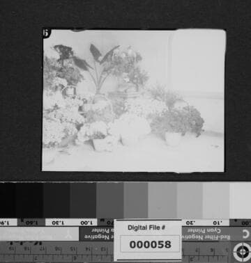 Flowers for Eliza A. Otis memorial service