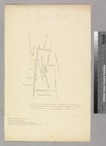 Vineyard situated in the Southern part of Los Angeles City, Cal