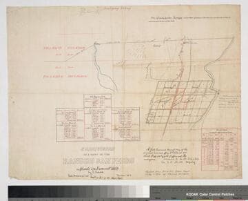Dominguez Colony Rancho San Pedro