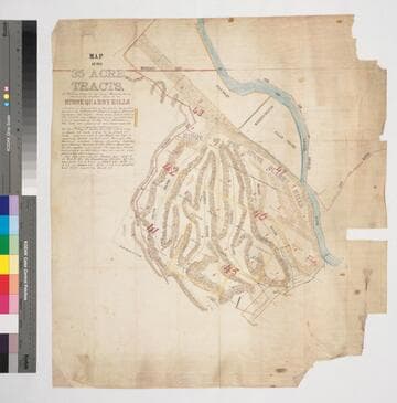 Map of the 35 Acre Tracts of the Los Angeles City Lands, Hancock's Survey, situate on the Southern Slope of the Stone Quarry Hills