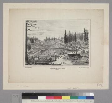 Grass Valley, Nevada County California