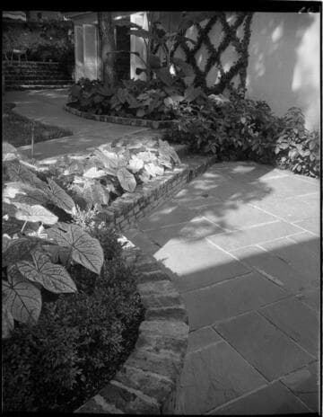Landscaping in Dallas for Joseph E. Howland: Hill residence
