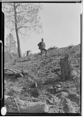 Big Creek, Miscellaneous - Blight accident