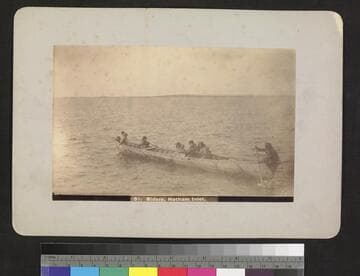 Bidara, Hotham Inlet