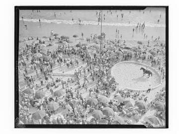 Horse and rider in ring during circus, Deauville Club in Santa Monica
