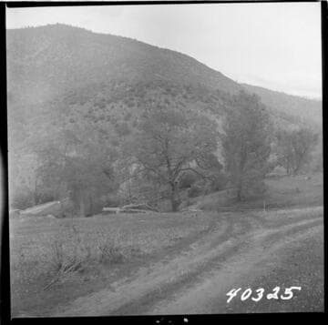 Big Creek Powerhouse #3 - View of original ground, housing site. Camera at P.O.T. #3 looking toward sites 5