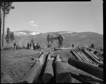 Sikorsky helicopter airlifting power poles into tower sites in the forest