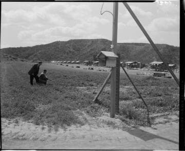 Farmer setting up electric fence to hold chickens in pen