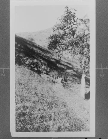 Tulare County Power Company - A view of the countryside