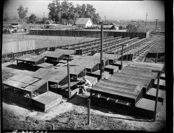 Iverson Poultry Ranch