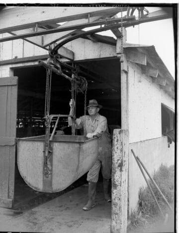 Dairy Booklet photos