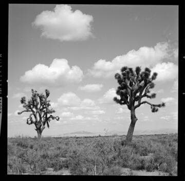 Bishop & Hoover tower line