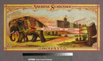 American Suspender Company. Great western brace