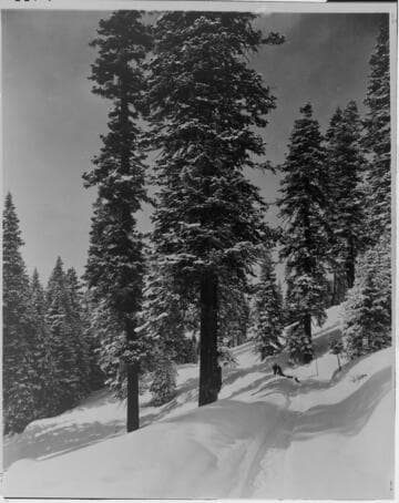 The winter snows of the Sierras were the entire reason for the Big Creek Project