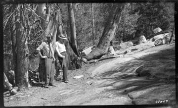 Big Creek General - Hooper Creek