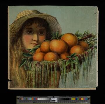 Stock label: girl in straw hat with basket of oranges