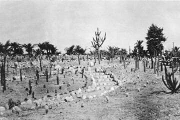 Desert and palm gardens, circa 1909