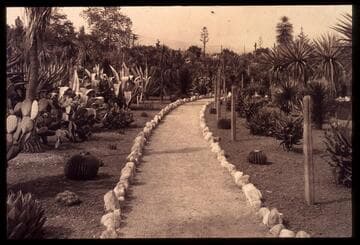 Desert garden, general view
