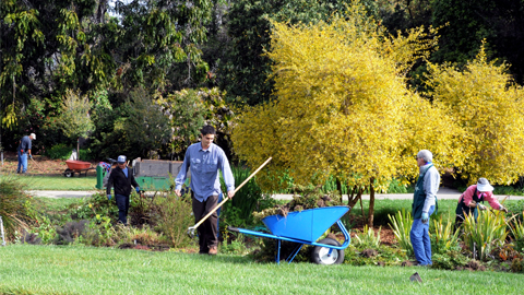 Working in the Shakeseare Garden Working in the Shakeseare Garden