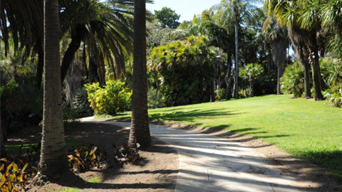 A new path at The Huntington A new path at The Huntington