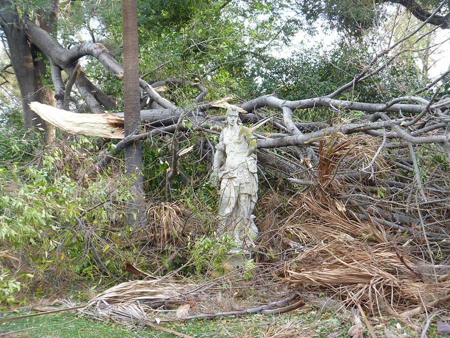 Fallen trees surrounding an 18th century statue Fallen trees surrounding an 18th century statue
